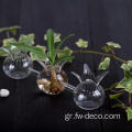 Whosale Clear Mini Pomegranate Confered Bud Glass Vase